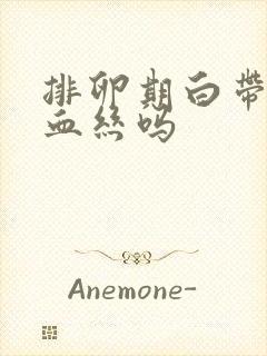 排卵期白带会带血丝吗封面