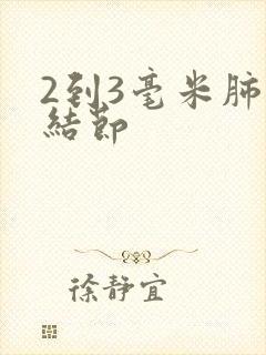 2到3毫米肺有结节