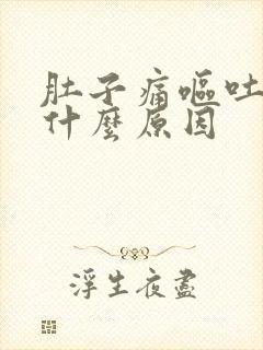 肚子痛呕吐头晕什么原因封面