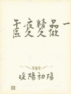 午夜精品一区二区久久做