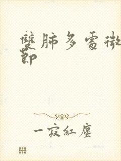 双肺多处微小结节封面