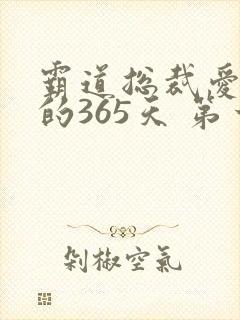 霸道总裁爱上我的365天 第一季