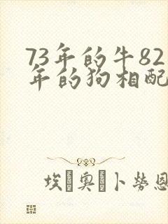 73年的牛82年的狗相配吗封面