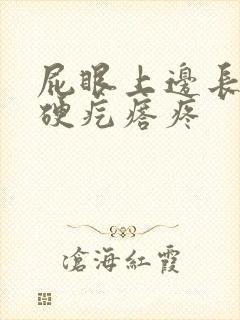 屁眼上边长了个硬疙瘩疼