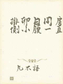 排卵日同房后左侧小腹一直隐痛封面