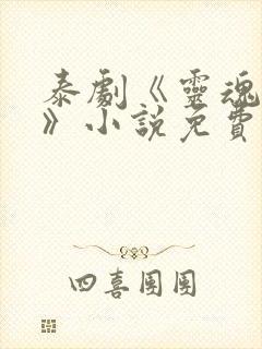 泰剧《灵魂重生》小说免费阅读