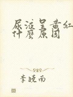 尿液呈黄红色是什么原因