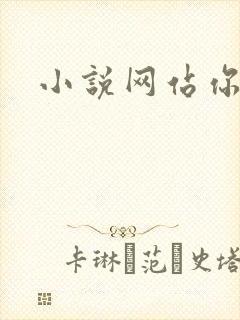 小说网站你懂的封面