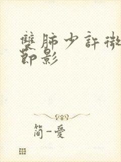 双肺少许微小结节影封面