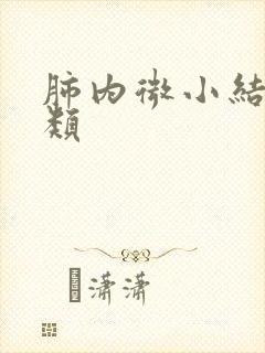 肺内微小结节2类