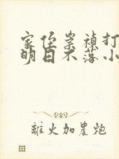 家侄崇祯打造大明日不落小说txt