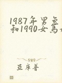1987年男兔和1990女马婚姻怎样封面