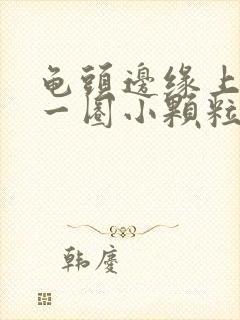 龟头边缘上长了一圈小颗粒