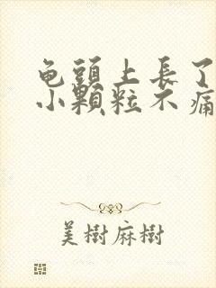 龟头上长了一圈小颗粒不痛不痒