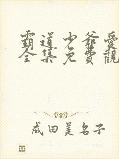 霸道少爷爱上我全集免费观看封面