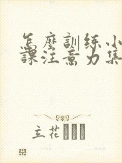 怎么训练小孩上课注意力集中