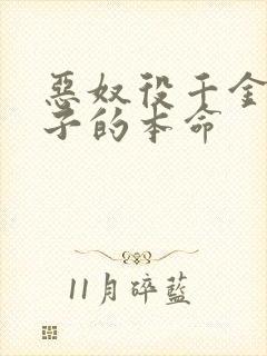 恶奴役千金是王子的本命