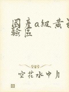 国产a级黄色体验区封面