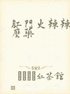 肛门火辣辣吃什么药