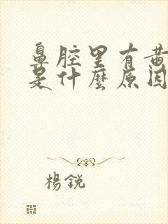 鼻腔里有黄鼻夹是什么原因