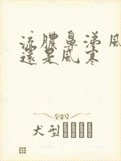 流脓鼻涕 风热还是风寒