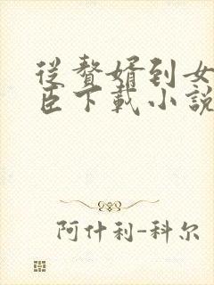 从赘婿到女帝宠臣下载小说