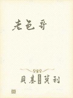 老色哥封面
