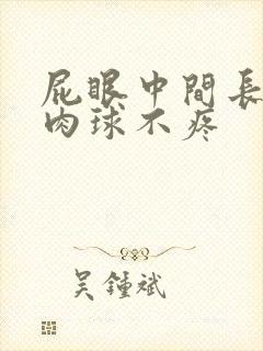 屁眼中间长了个肉球不疼封面