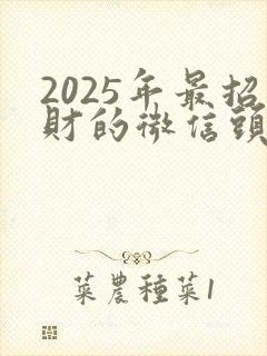 2025年最招财的微信头像