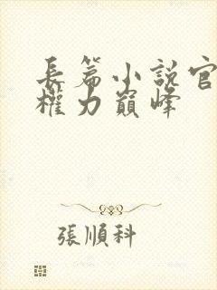 长篇小说官途:权力巅峰封面