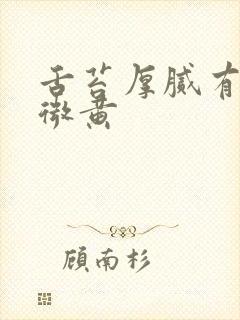 舌苔厚腻有裂纹微黄封面