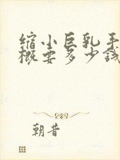 缩小巨乳手术大概要多少钱