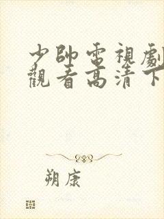 少帅电视剧免费观看高清下载封面