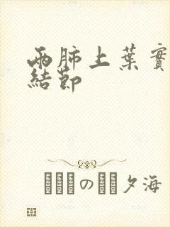 两肺上叶实性微结节