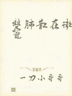 双肺散在微结节灶