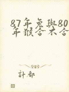 87年兔与80年猴合不合封面