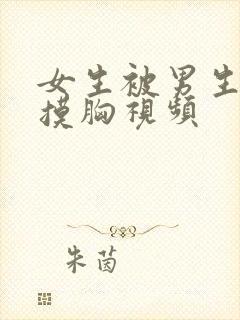 女生被男生亲吻摸胸视频