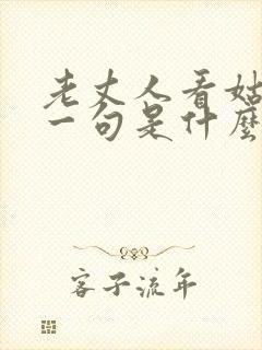 老丈人看姑爷下一句是什么