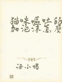 猫咪呕吐的黄水加泡沫怎么办