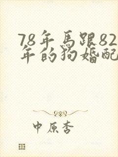 78年马跟82年的狗婚配怎么样