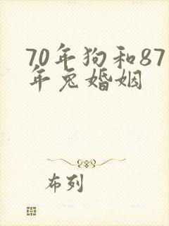 70年狗和87年兔婚姻封面
