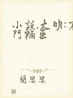 小说,大明:寒门辅臣封面