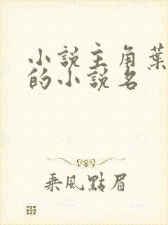 小说主角叶无道的小说名
