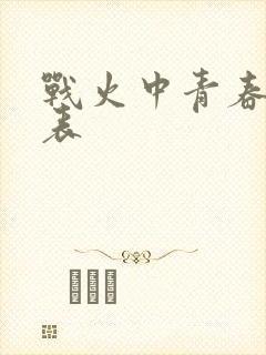 战火中青春演员表封面