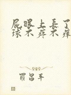 屁眼上长了个肉球不疼不痒封面