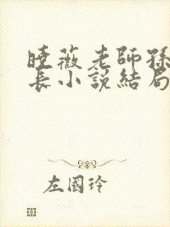 晓薇老师孙燕校长小说结局