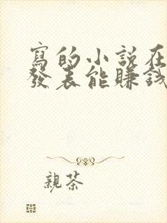 写的小说在哪里发表能赚钱封面