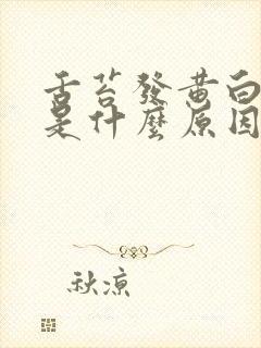 舌苔发黄白厚腻是什么原因