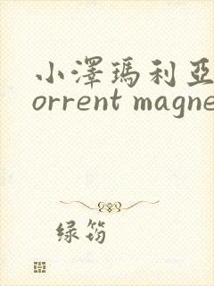小泽玛利亚 torrent magnet
