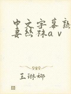 中文字幕熟女人妻丝袜aⅴ